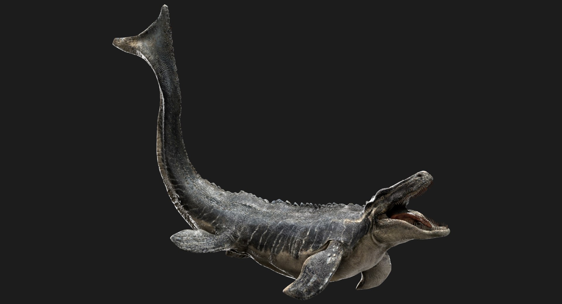3D v-ray rigged model https://p.turbosquid.com/ts-thumb/lr/l524fQ/o1UNiQ6x/02/jpg/1561343508/1920x1080/fit_q87/f6ec91e324cc771546508c46f11e6f9301388aa3/02.jpg