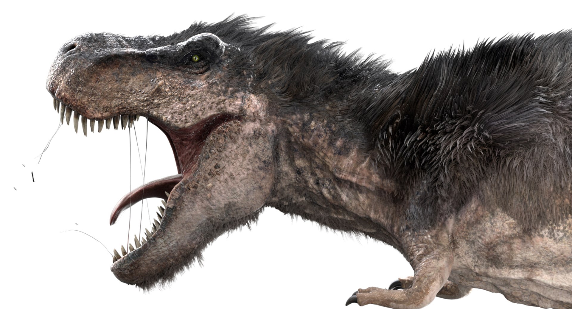 3D v-ray rigged model https://p.turbosquid.com/ts-thumb/lr/l524fQ/pvrbVCVA/18/jpg/1561343805/1920x1080/fit_q87/016589b5b3bbf0dfe780d8300345836bb8044521/18.jpg
