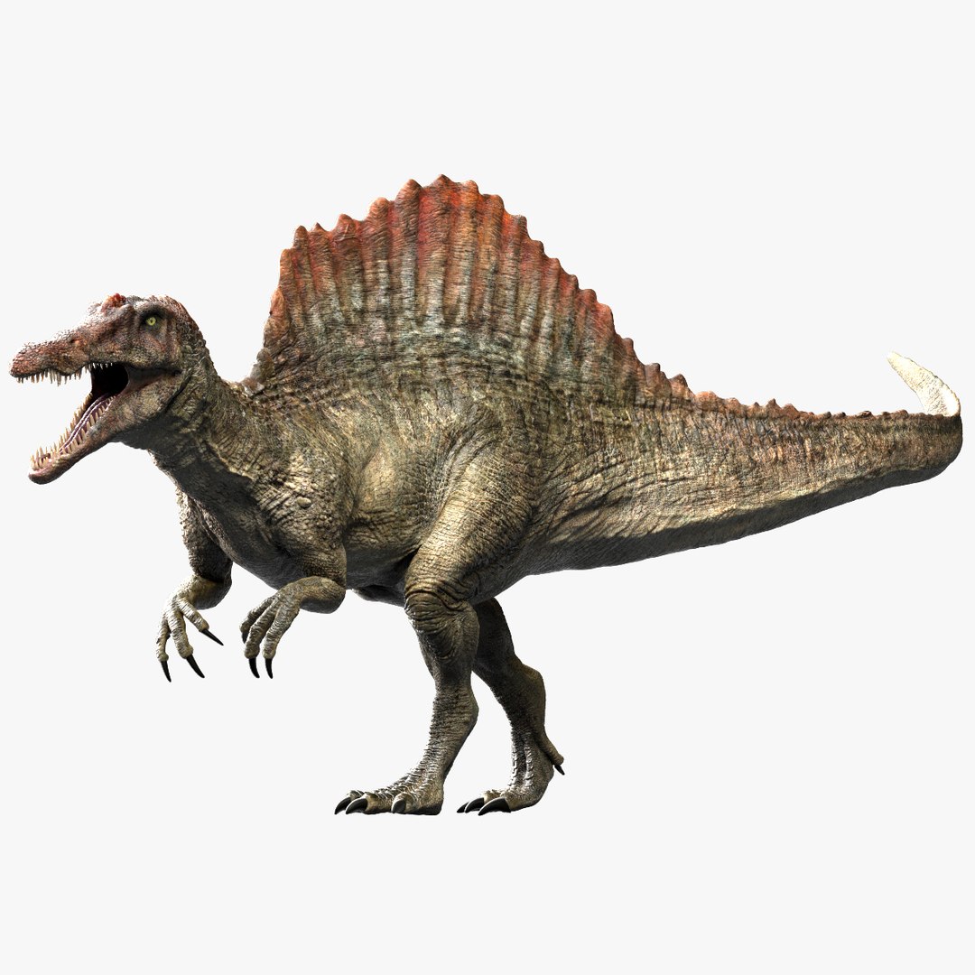 3D v-ray rigged model https://p.turbosquid.com/ts-thumb/lr/l524fQ/rwglQ4Co/01/jpg/1561343714/1920x1080/fit_q87/168dbdb9bfb2dcc234f237a1ce4da9e10f4592b5/01.jpg