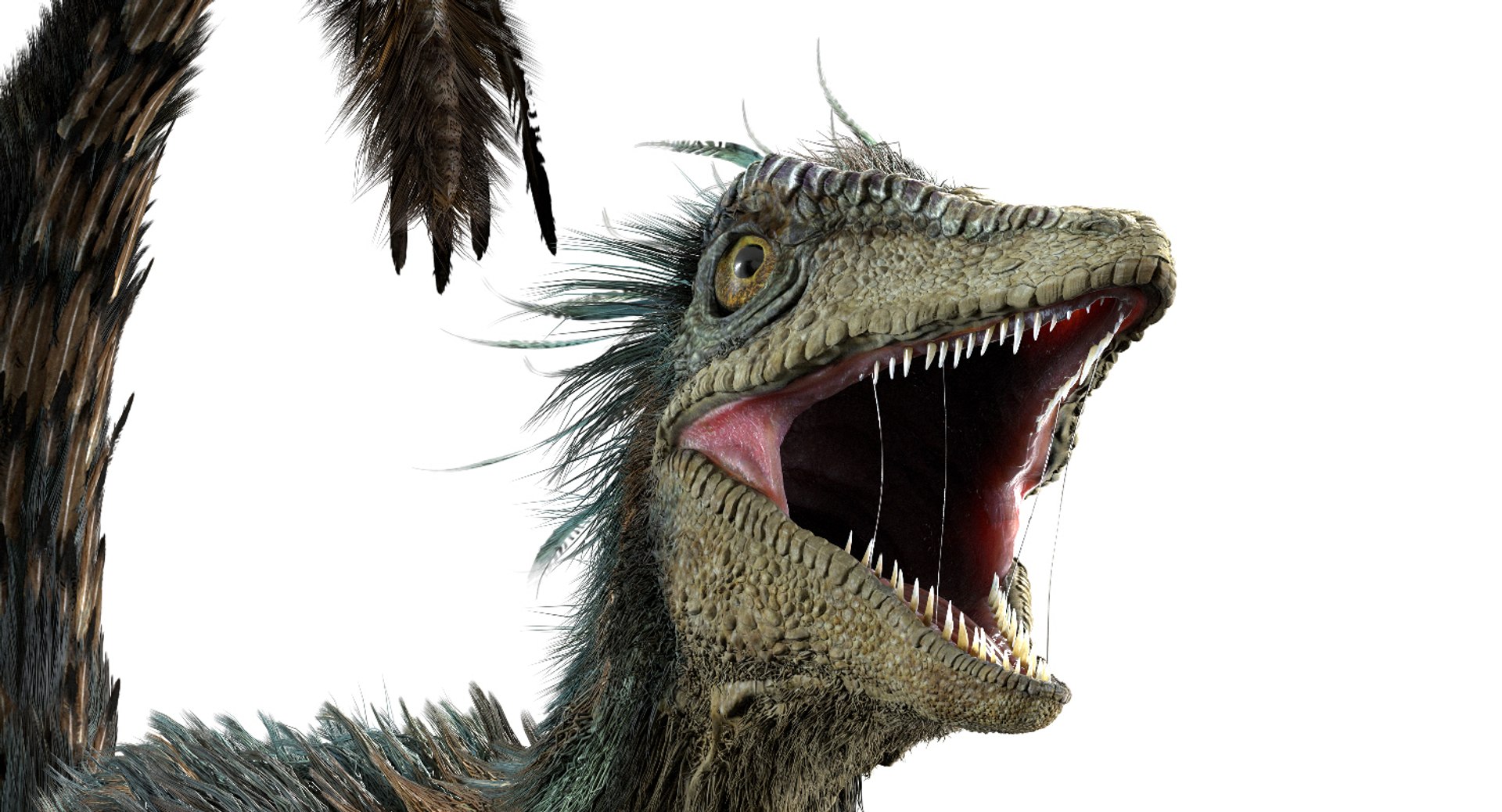 3D v-ray rigged model https://p.turbosquid.com/ts-thumb/lr/l524fQ/wBTpVPgM/05/jpg/1561343881/1920x1080/fit_q87/61d297db2564cb747c815fe03e364d6bf97f9135/05.jpg