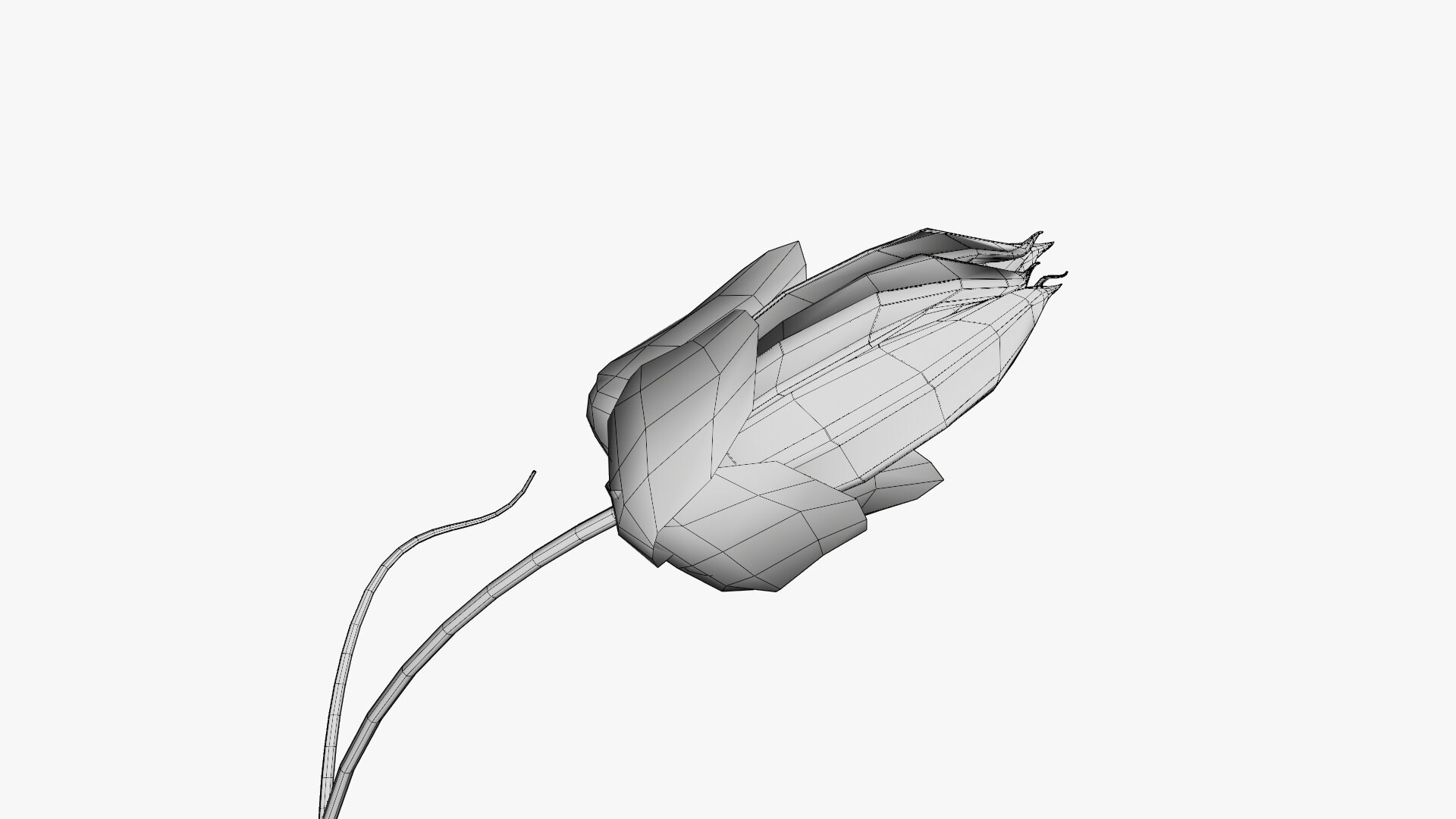 3D model Passion flower https://p.turbosquid.com/ts-thumb/lr/vBhpM2/8W/0026/jpg/1652730766/1920x1080/fit_q87/84a4bf1a72b4928cec6be56821839bca4a96c668/0026.jpg