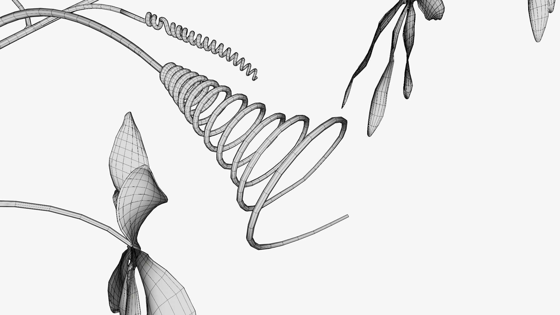 3D model Passion flower https://p.turbosquid.com/ts-thumb/lr/vBhpM2/F5/0027/jpg/1652730771/1920x1080/fit_q87/c720d429a3480d61da1af6314426baa5737209e2/0027.jpg