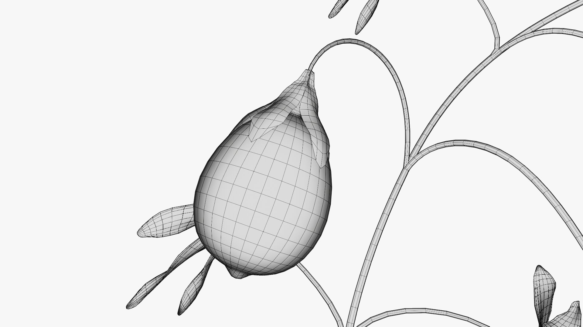 3D model Passion flower https://p.turbosquid.com/ts-thumb/lr/vBhpM2/IR/0024/jpg/1652730764/1920x1080/fit_q87/83414634fedc0e9d4fa695ab4e306530390cf474/0024.jpg