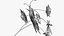 Passionsblume