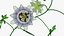 Passionsblume