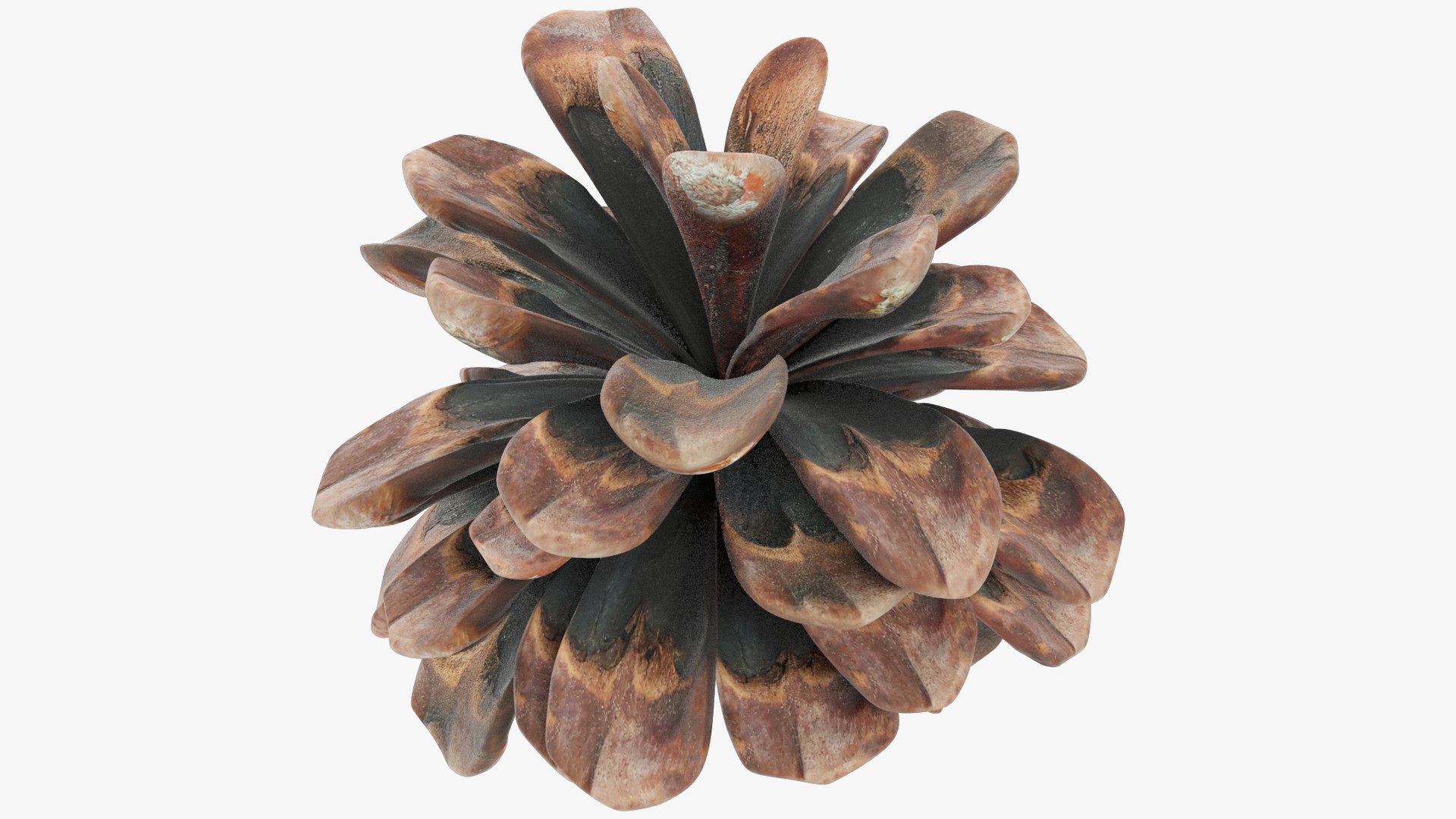 3D Cone V1 Model - TurboSquid 2150304