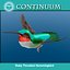 Ruby Throated Hummingbird, Feeding Position.