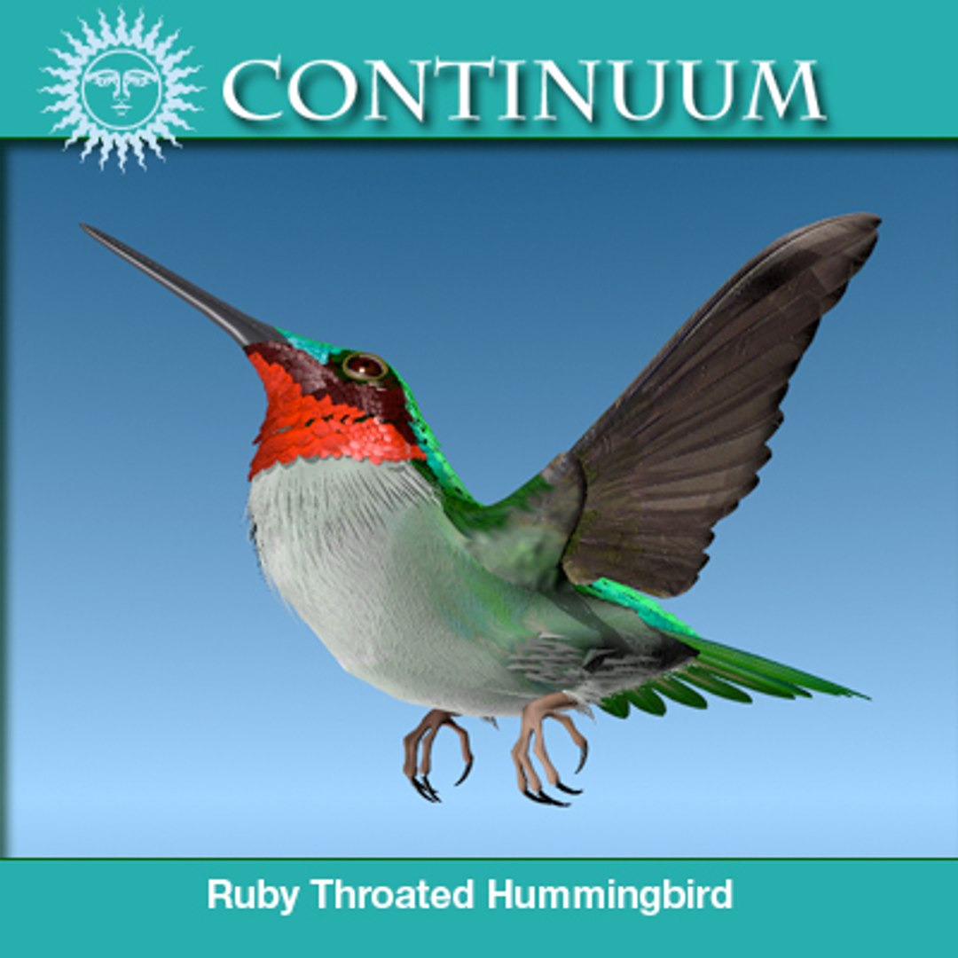 bird ruby throated hummingbird 3d c4d https://p.turbosquid.com/ts-thumb/ls/6MtDTZ/dB7cPZzH/rthummfeedingpos03/jpg/1267582127/1920x1080/fit_q87/8ad36bedc6fdd7af94a9936bf2c1ce13f17c6156/rthummfeedingpos03.jpg