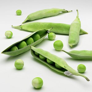 3d model peas