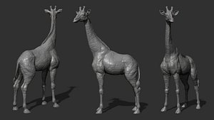 Giraffe full-length model