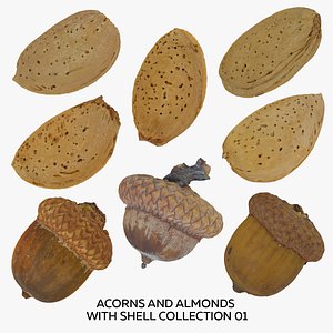 Acorns and Almonds with Shell Collection 01 - 8 models RAW Scans 3D model