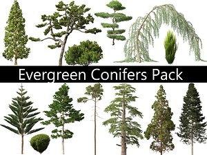 3D Evergreen Conifers Pack 05