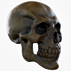 Human Skeleton Skull - Ancient - Lowpoly - Game Ready