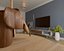 Living Room No1