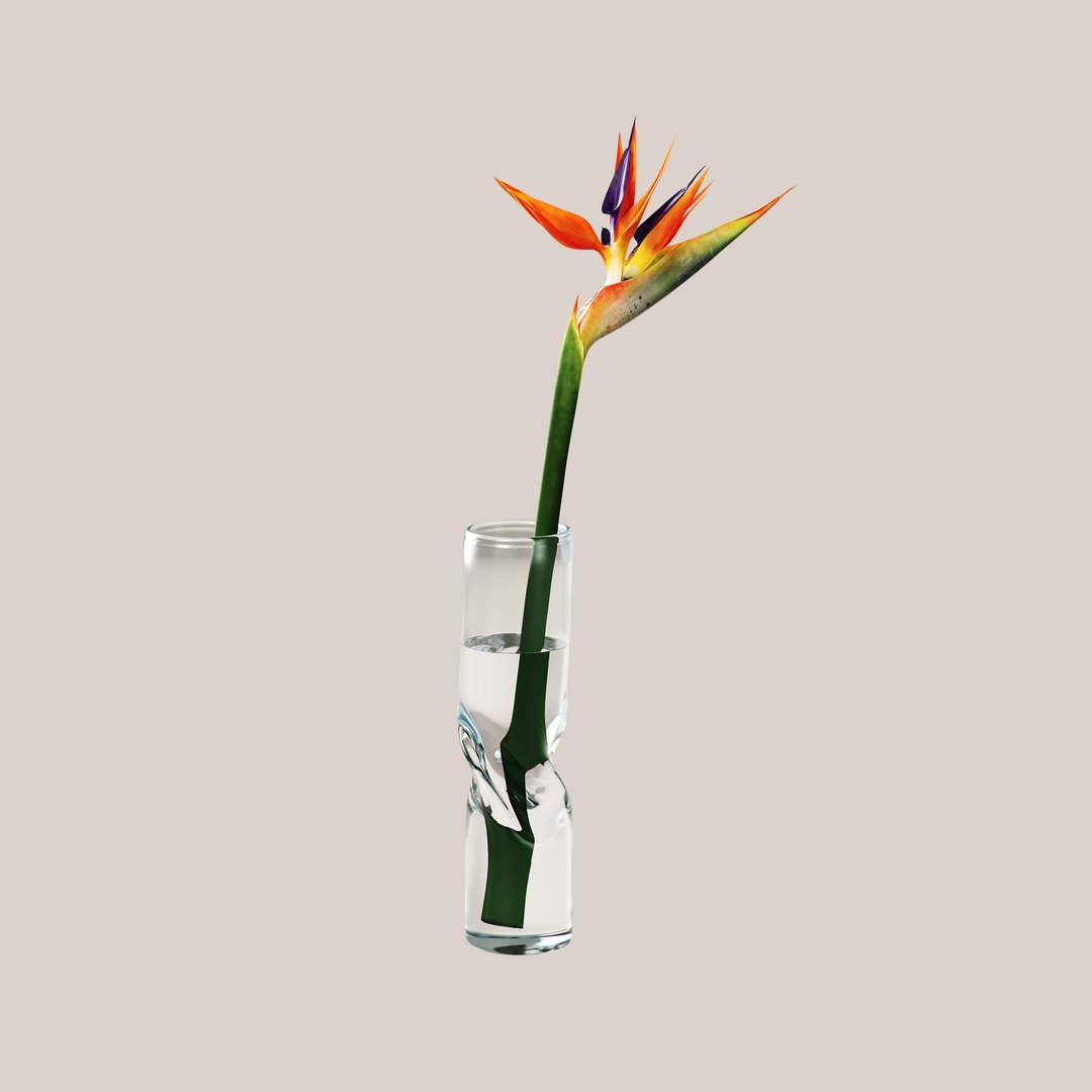 3D Small FLowers Bundle https://p.turbosquid.com/ts-thumb/ls/pa4gAL/8X/bo_strelitziaflower_prw/jpg/1712144058/1920x1080/fit_q87/bd1bbfa89d328cf65f558f46573aa0a2885e658b/bo_strelitziaflower_prw.jpg