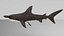 Hammerhead Shark Rigged L593