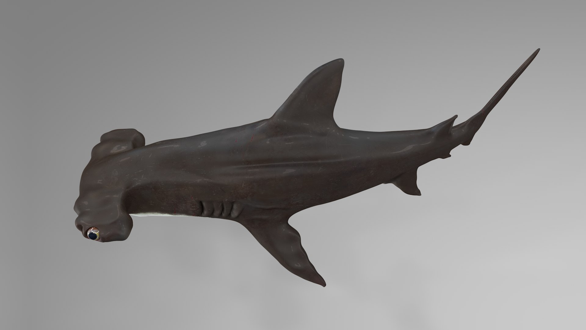 3D hammerhead shark rigged l593 model https://p.turbosquid.com/ts-thumb/ls/r1IIcc/0bzXuPai/4/png/1582497387/1920x1080/fit_q87/ace6545c120500ac675152bfec4c3ac5c7f13873/4.jpg