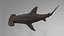 Hammerhead Shark Rigged L593