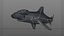 Hammerhead Shark Rigged L593