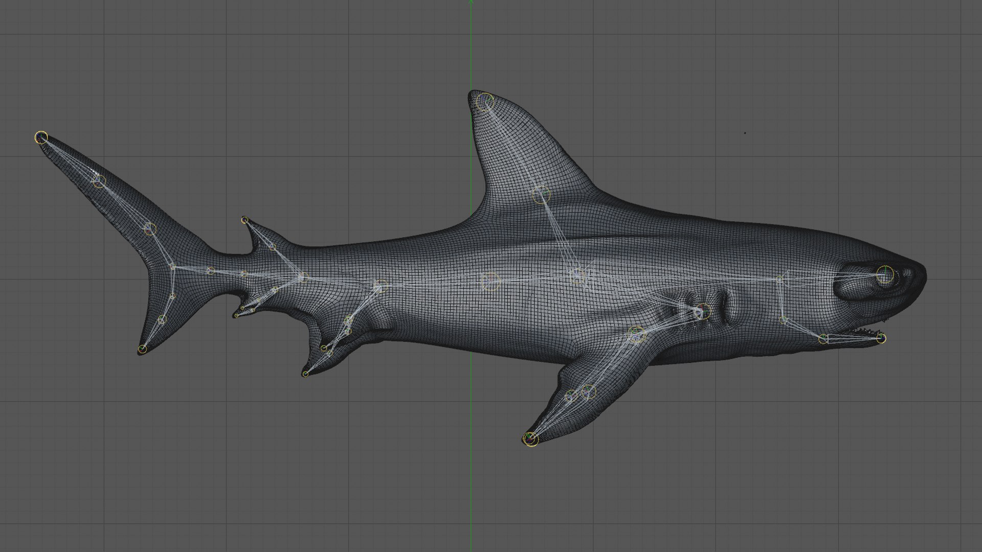 3D hammerhead shark rigged l593 model https://p.turbosquid.com/ts-thumb/ls/r1IIcc/506ebzCZ/42/png/1582497456/1920x1080/fit_q87/86a1877a6af4978e6099266d0ca0b4d740887171/42.jpg