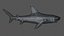 Hammerhead Shark Rigged L593