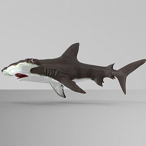 3D hammerhead shark rigged l593 model