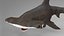 Hammerhead Shark Rigged L593