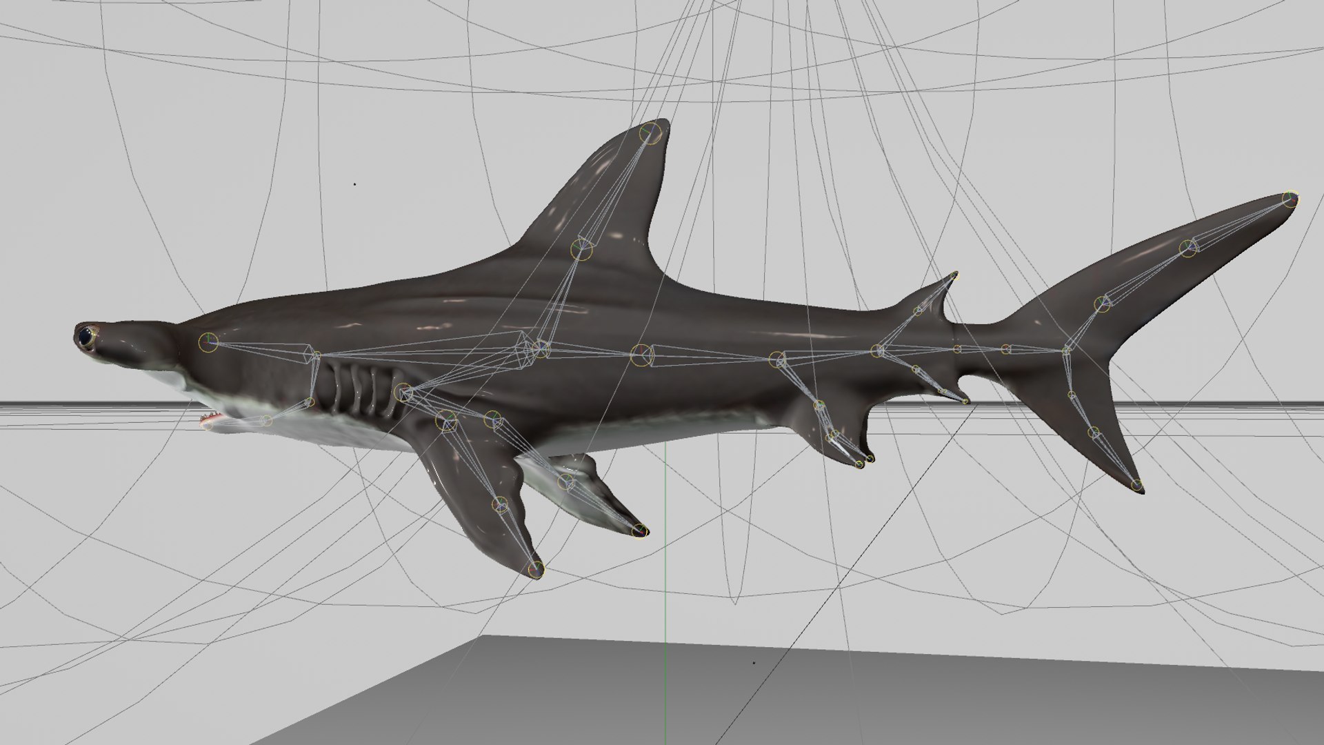 3D hammerhead shark rigged l593 model https://p.turbosquid.com/ts-thumb/ls/r1IIcc/BmVb9d2M/5/png/1582497387/1920x1080/fit_q87/c4d7b3514c5b4c43bfe0bd5e4a3d6c22f9e993db/5.jpg