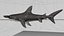 Hammerhead Shark Rigged L593