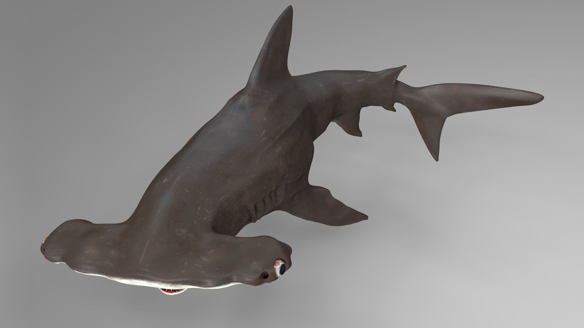 3D hammerhead shark rigged l593 model https://p.turbosquid.com/ts-thumb/ls/r1IIcc/EOgqVb9v/28/png/1582497388/1920x1080/fit_q87/415d71fae904c14a2ddc1dbeeab6f22b7924d474/28.jpg