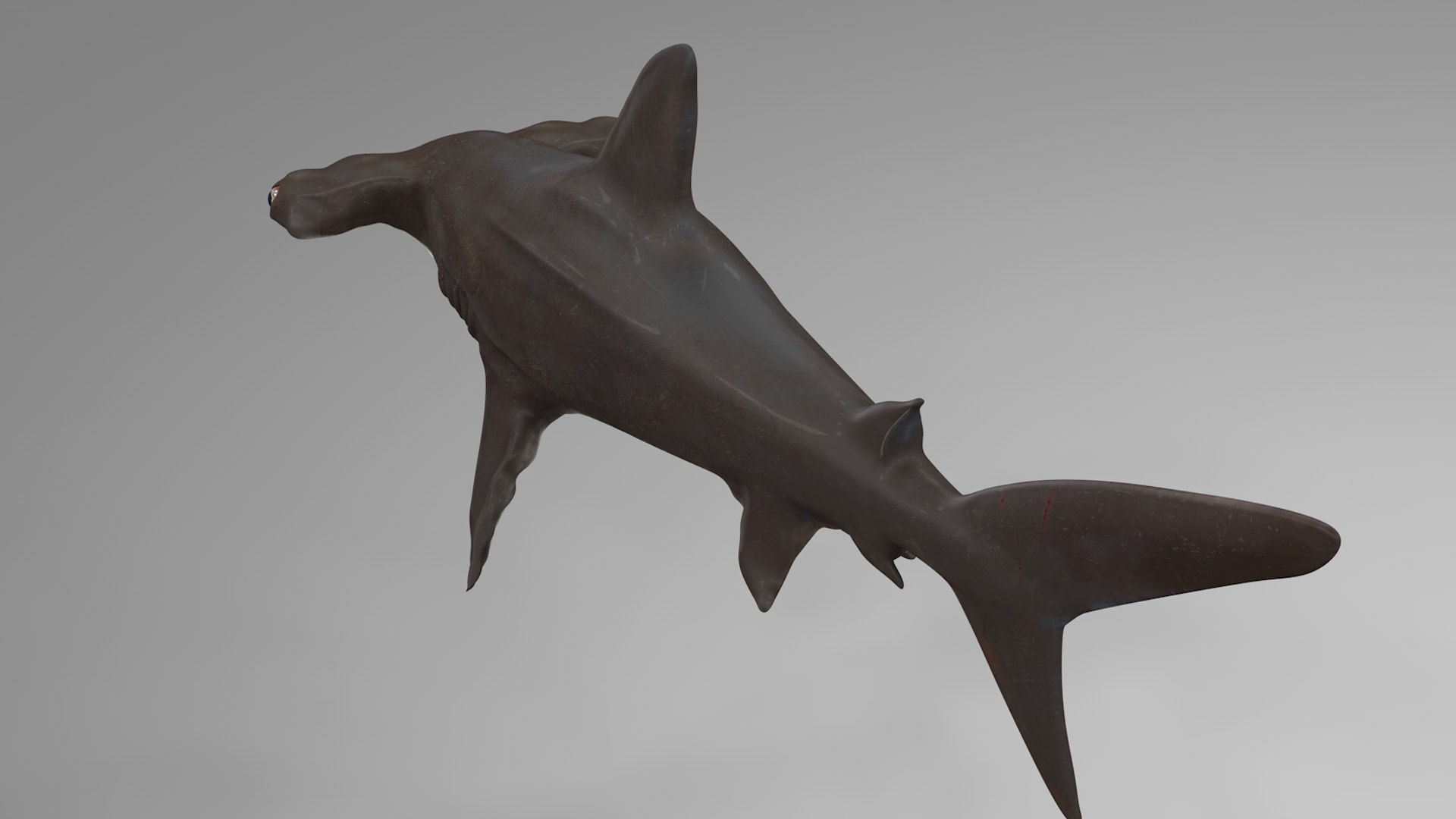3D hammerhead shark rigged l593 model https://p.turbosquid.com/ts-thumb/ls/r1IIcc/EtE6oZAr/18/png/1582497387/1920x1080/fit_q87/94b11878d464f9e3a0a0a3034d5113a958796144/18.jpg