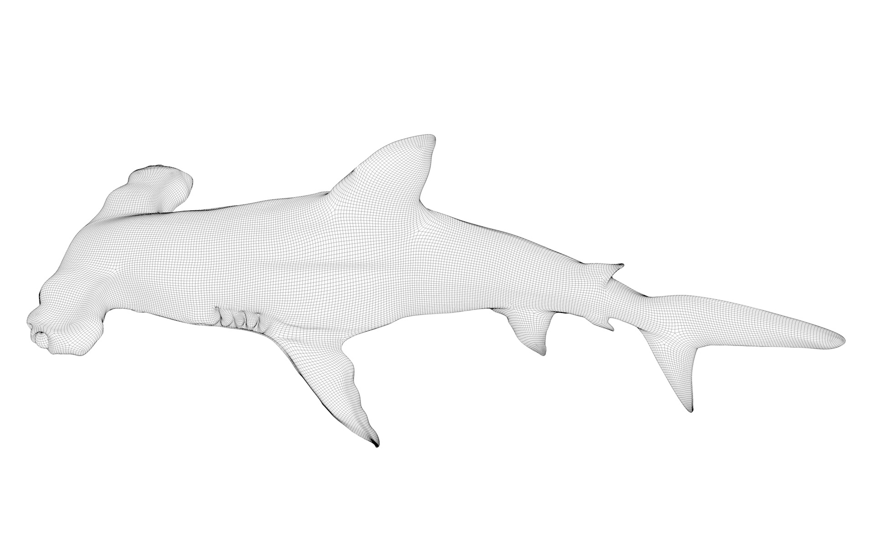3D hammerhead shark rigged l593 model https://p.turbosquid.com/ts-thumb/ls/r1IIcc/Gn74wsQ9/z/jpg/1582497695/1920x1080/turn_fit_q99/b5ad40f6b35f0ef4d00e94483205ebfb1471c98d/z-1.jpg