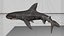 Hammerhead Shark Rigged L593