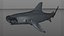 Hammerhead Shark Rigged L593