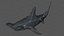 Hammerhead Shark Rigged L593
