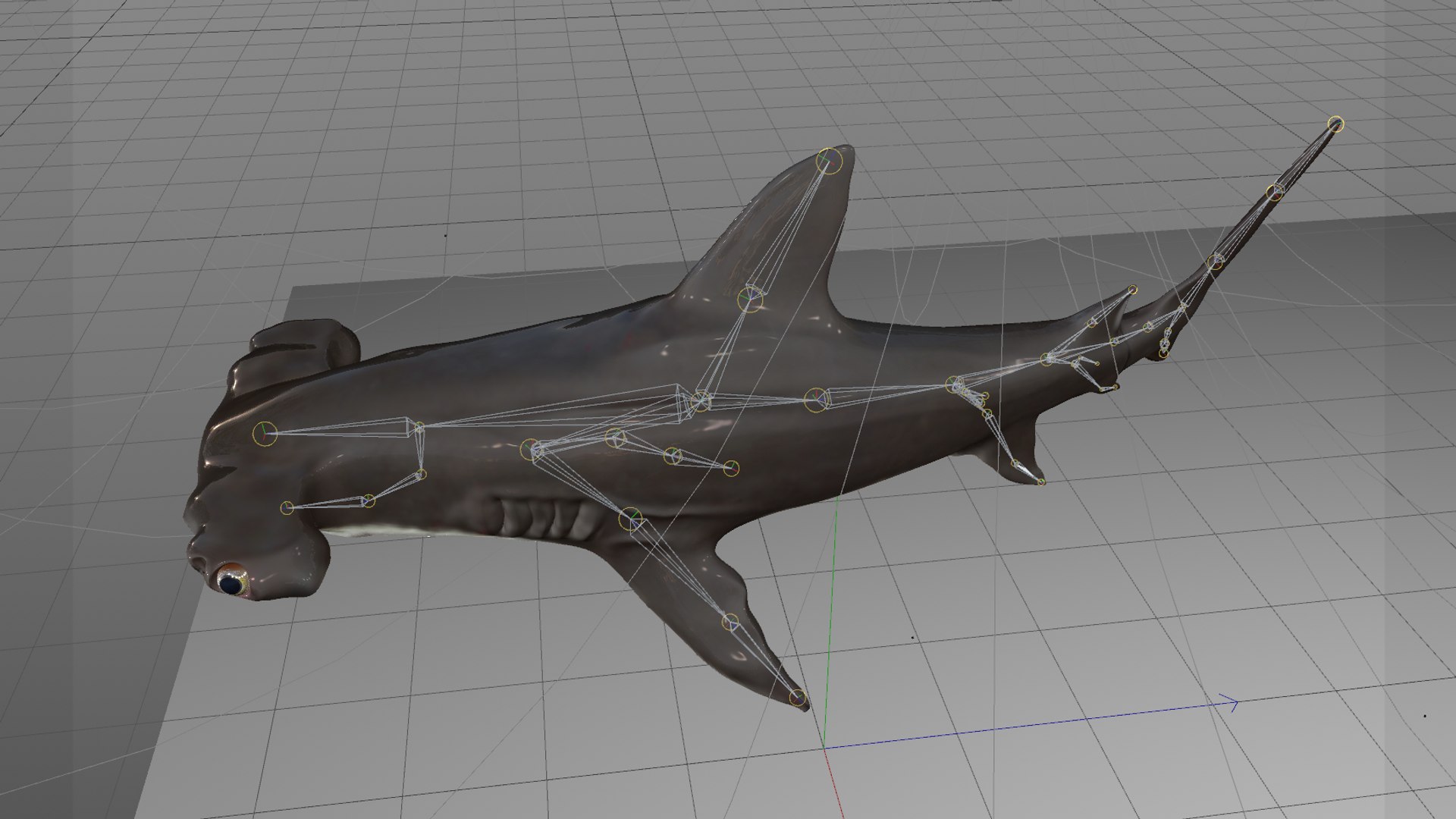 3D hammerhead shark rigged l593 model https://p.turbosquid.com/ts-thumb/ls/r1IIcc/KPupw2si/3/png/1582497387/1920x1080/fit_q87/4d60468656b65146f158656a5b63074a84356b94/3.jpg