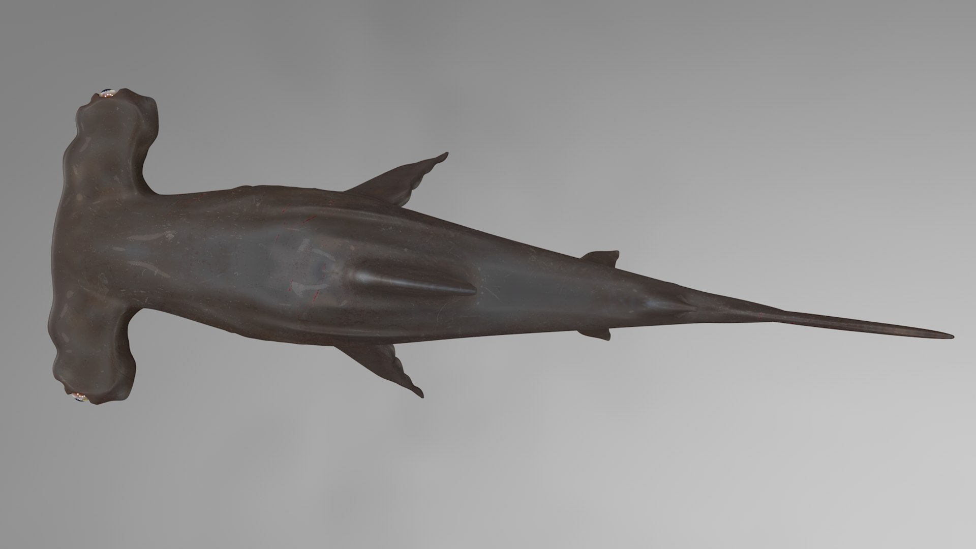 3D hammerhead shark rigged l593 model https://p.turbosquid.com/ts-thumb/ls/r1IIcc/NUm7yKxF/12/png/1582497387/1920x1080/fit_q87/206adfe8f8d7ab9817ec15d65a99cc967e96dcbf/12.jpg