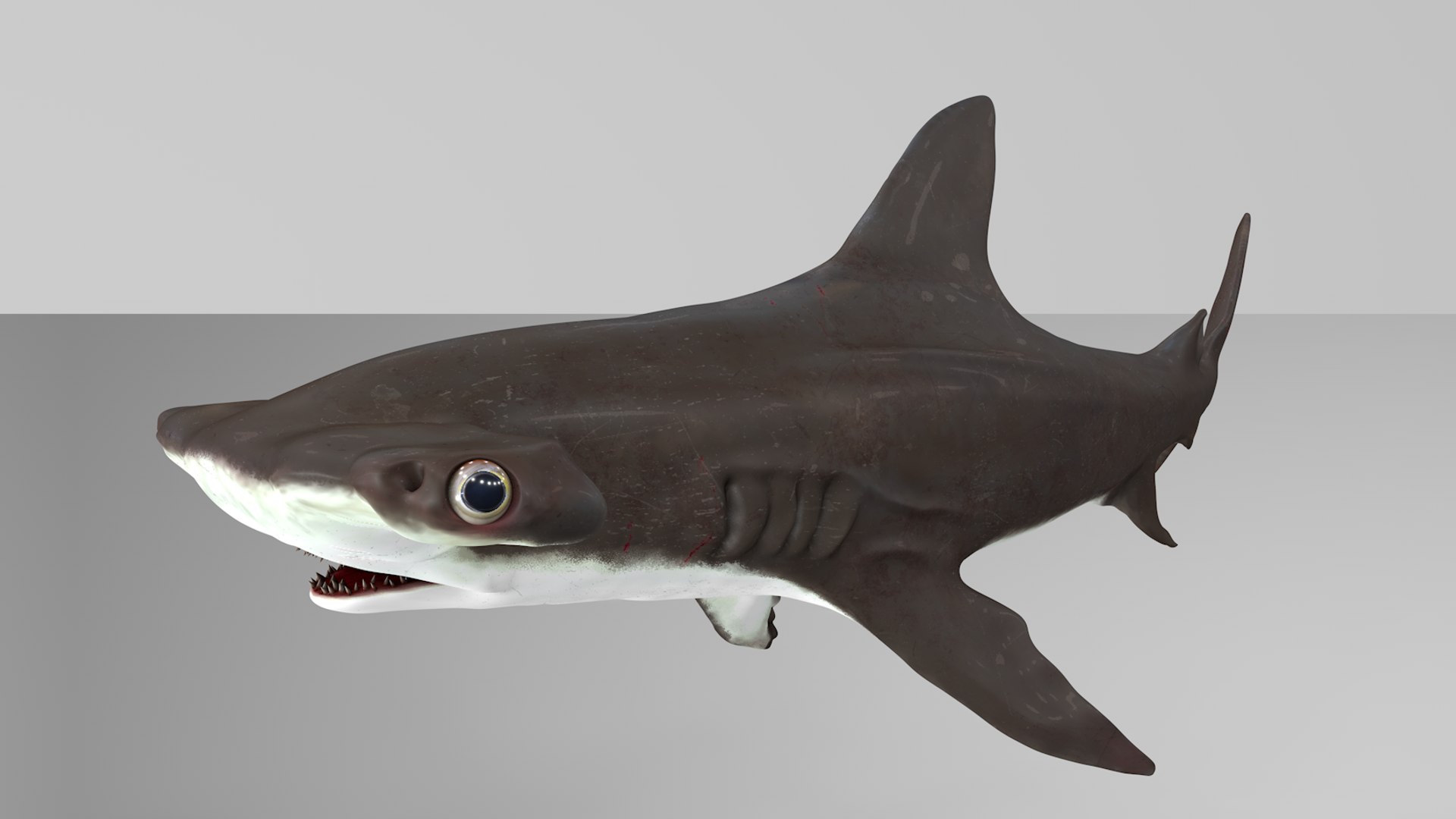 3D hammerhead shark rigged l593 model https://p.turbosquid.com/ts-thumb/ls/r1IIcc/O76t8paw/8/png/1582497387/1920x1080/fit_q87/32c04a55ad1d0f6de1479397f217dd2d1efa2d05/8.jpg
