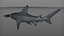 Hammerhead Shark Rigged L593