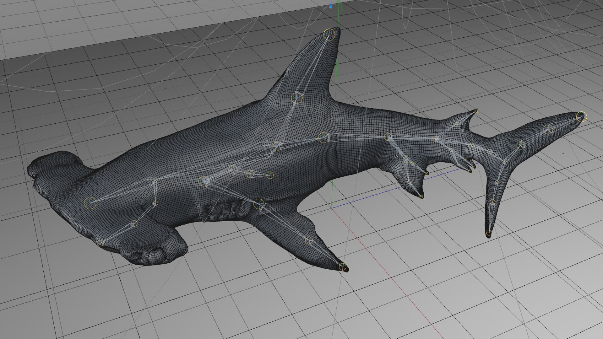 3D hammerhead shark rigged l593 model https://p.turbosquid.com/ts-thumb/ls/r1IIcc/PmCBDJKr/75/png/1582497456/1920x1080/fit_q87/a78b3b954602f79e6b8ec7703ff8691a78c87872/75.jpg