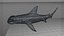 Hammerhead Shark Rigged L593