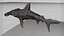 Hammerhead Shark Rigged L593