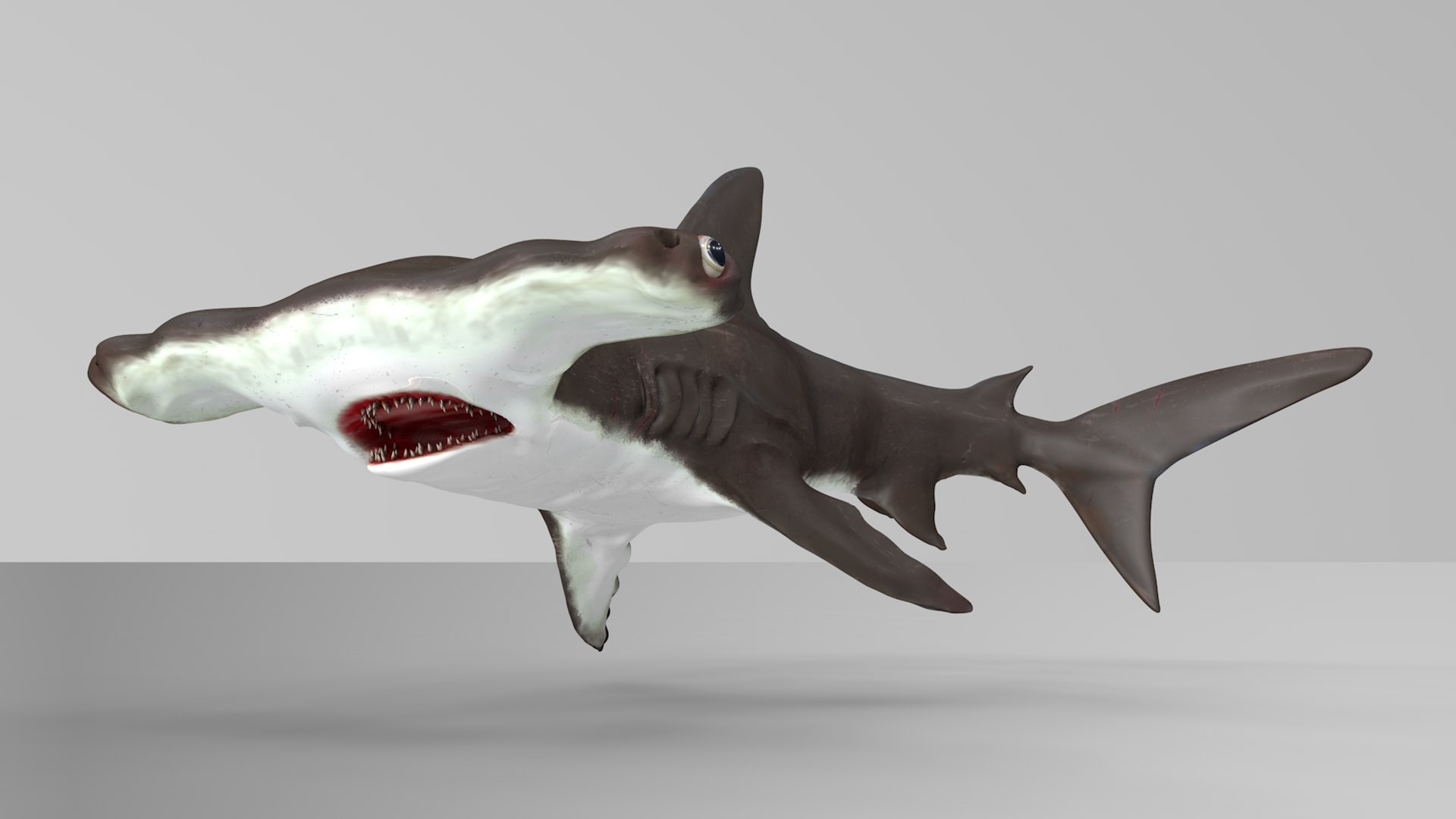 3D hammerhead shark rigged l593 model https://p.turbosquid.com/ts-thumb/ls/r1IIcc/SrwtjHO3/25/png/1582497388/1920x1080/fit_q87/1966e9b91f870beabd5ec2dbc38831493674f6d1/25.jpg