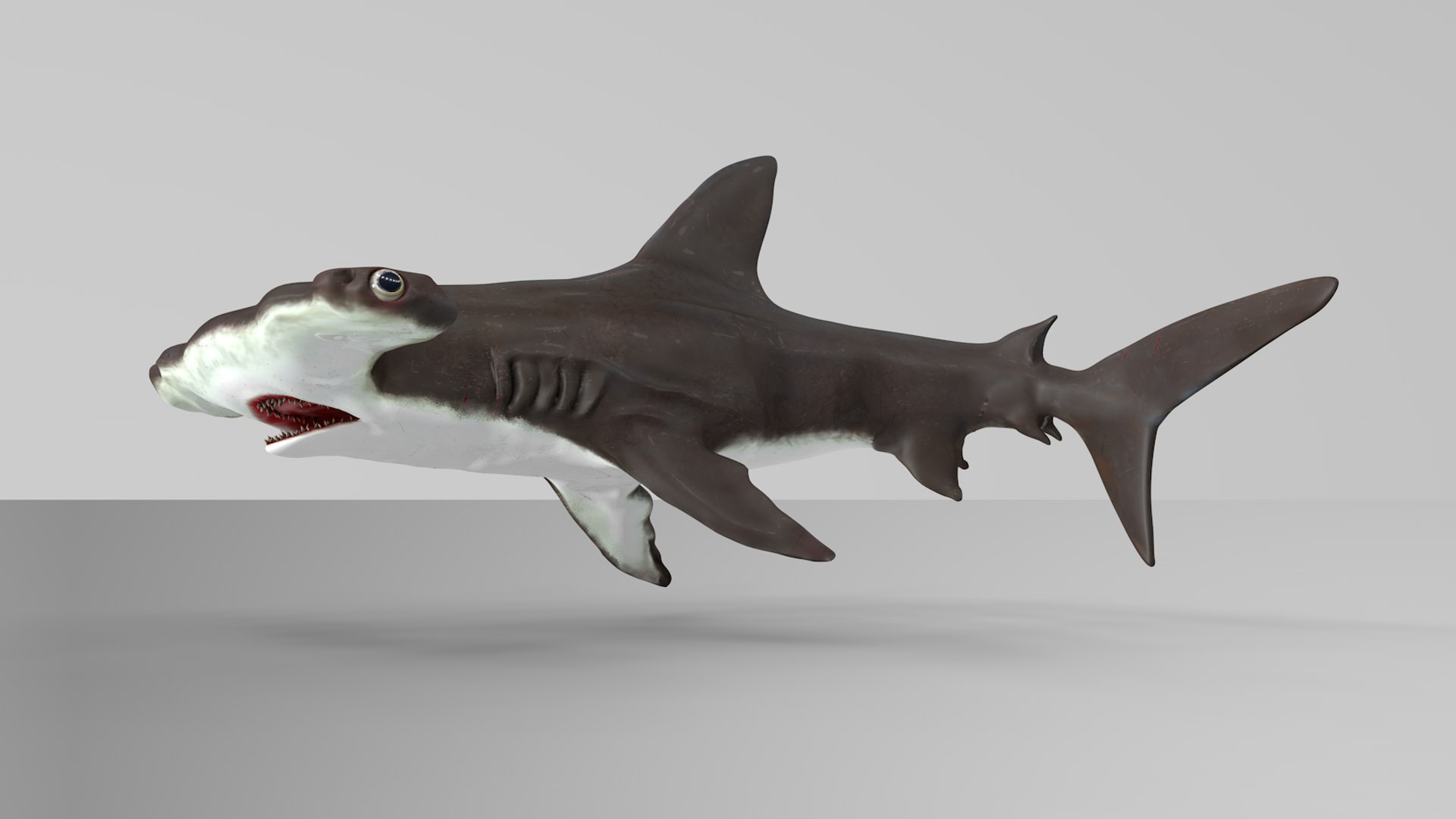 3D hammerhead shark rigged l593 model https://p.turbosquid.com/ts-thumb/ls/r1IIcc/UFzOUJM9/2nd/png/1582497387/1920x1080/fit_q87/0c30f22f9aa37161b2b33639fa500b953b176b0a/2nd.jpg