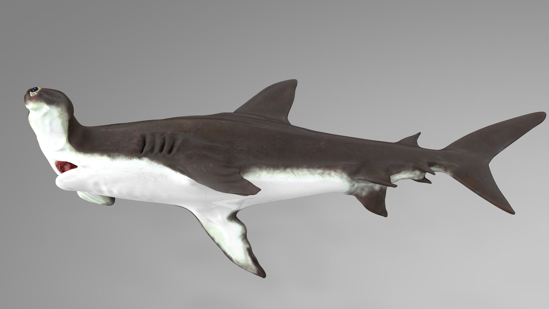 3D hammerhead shark rigged l593 model https://p.turbosquid.com/ts-thumb/ls/r1IIcc/akrxYVVI/16/png/1582497387/1920x1080/fit_q87/dea6354499c96304e120226997cb867a237da4a0/16.jpg