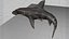 Hammerhead Shark Rigged L593