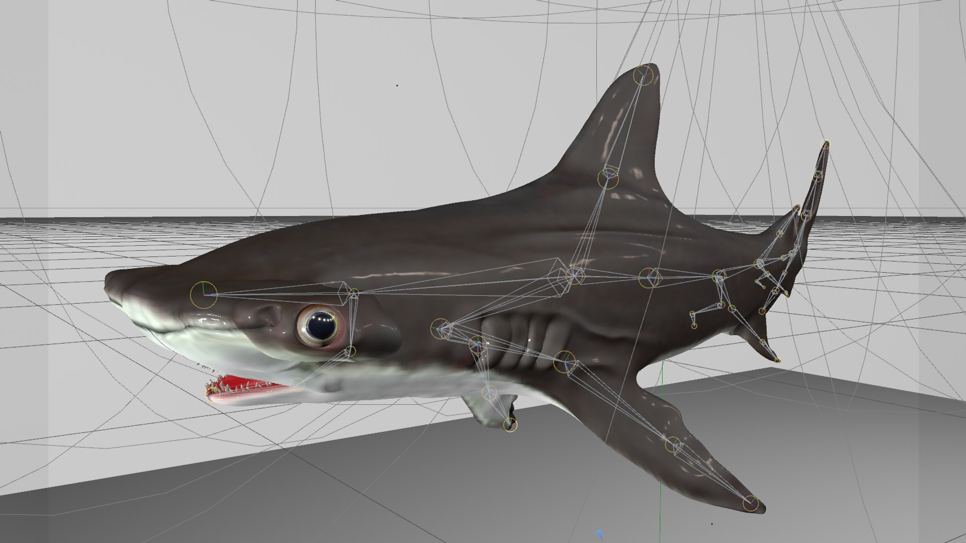 3D hammerhead shark rigged l593 model https://p.turbosquid.com/ts-thumb/ls/r1IIcc/bmXdo1Bj/7/png/1582497387/1920x1080/fit_q87/4c897890461a9eb405db3de802cab56d0da52dea/7.jpg