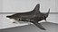 Hammerhead Shark Rigged L593