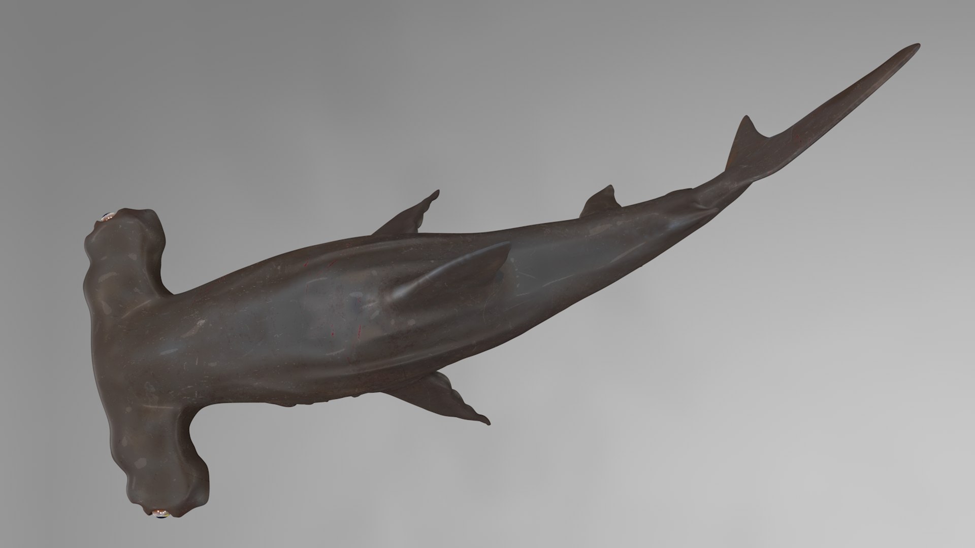 3D hammerhead shark rigged l593 model https://p.turbosquid.com/ts-thumb/ls/r1IIcc/diKGbIQ1/14/png/1582497387/1920x1080/fit_q87/243f760b5f389aff650164e8751ed4169ffb8632/14.jpg