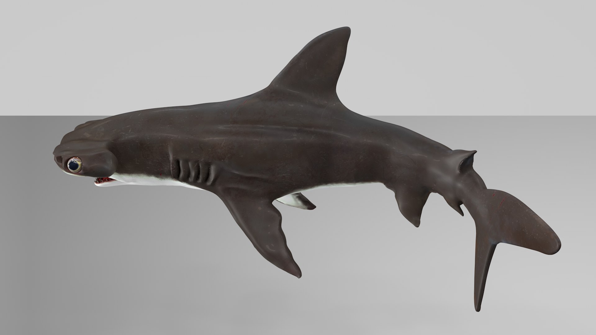 3D hammerhead shark rigged l593 model https://p.turbosquid.com/ts-thumb/ls/r1IIcc/hEyagg8Z/20/png/1582497387/1920x1080/fit_q87/65ac412bcd430ad21558a58352417a8590ade731/20.jpg